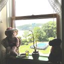 room with a view